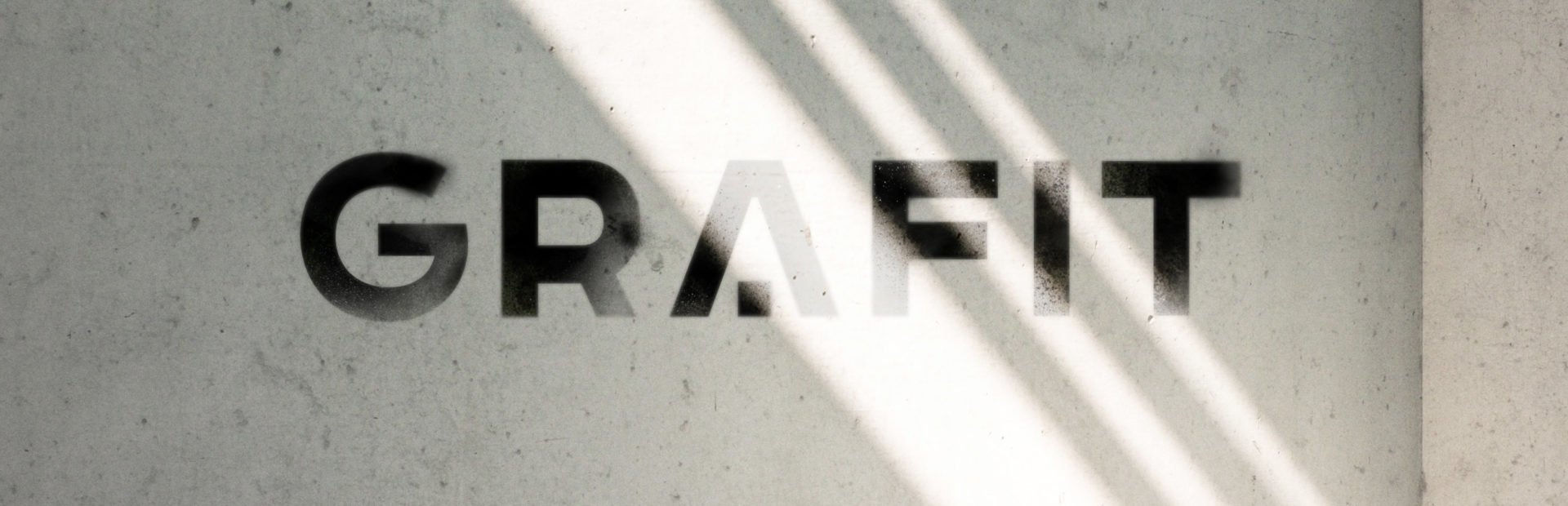 Розробка логотипа та промо-сайту для котеджів «Grafit»