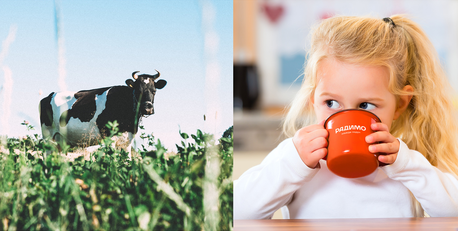Фірмова чашка з логотипом молочного бренду «Радимо»