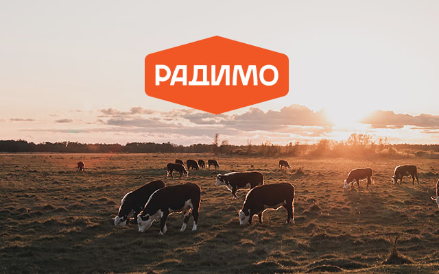 Оновлення логотипа та фірмового стилю молочного бренду «Радимо»