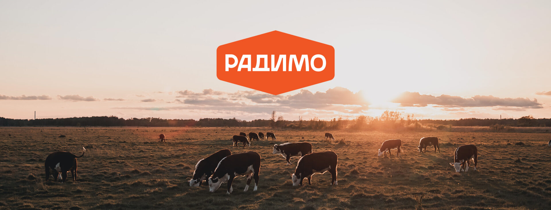 Оновлення логотипа та фірмового стилю молочного бренду «Радимо»