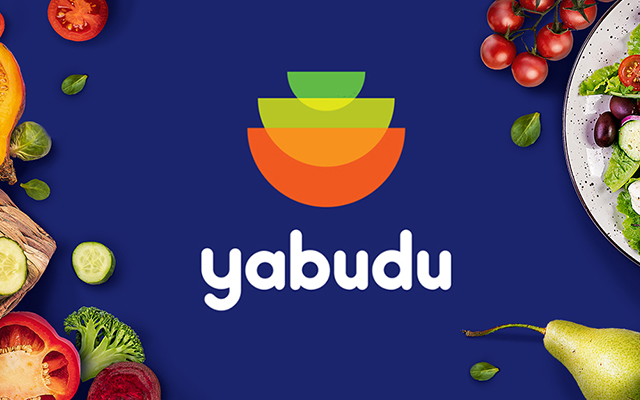 Створення логотипа та фірмового стилю для «yabudu»