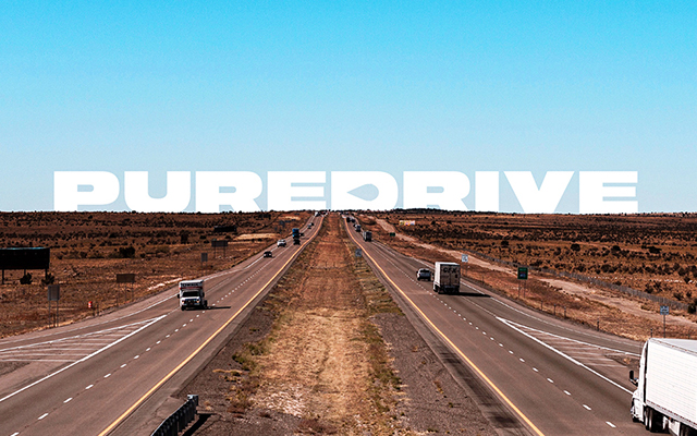 Розробка логотипа та фірмового стилю для PureDrive